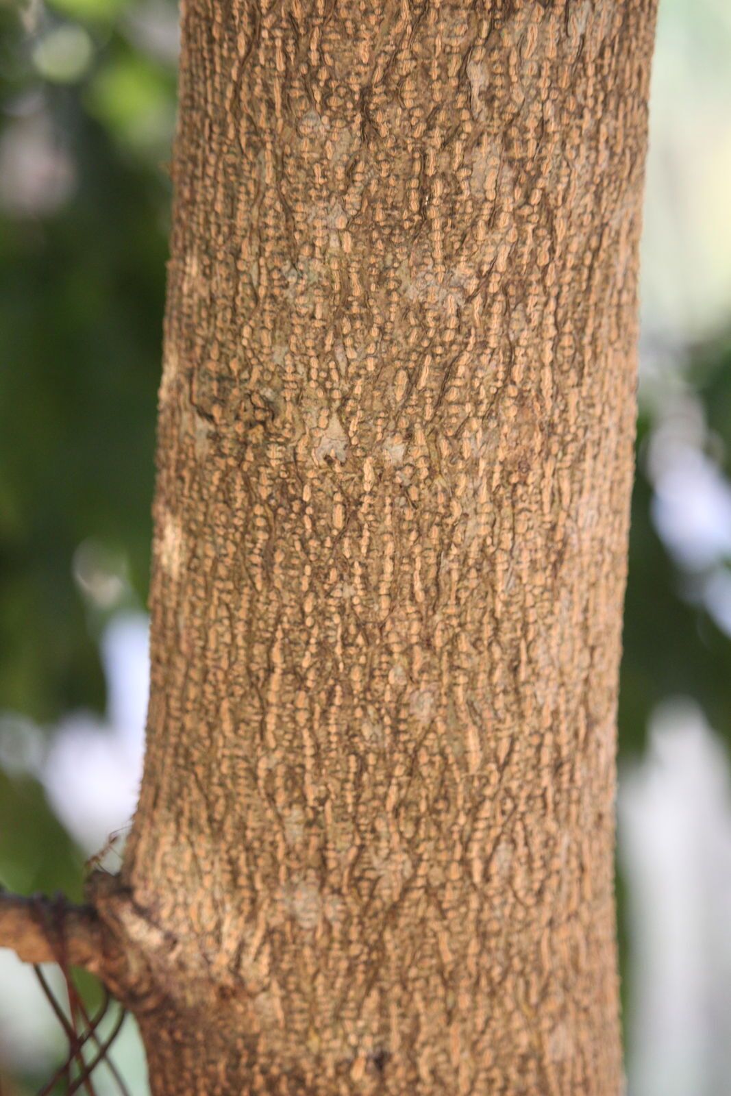 3d097535486c6a7d6e240f1bf8c62177