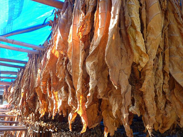 4589002676_16e10f458e_z