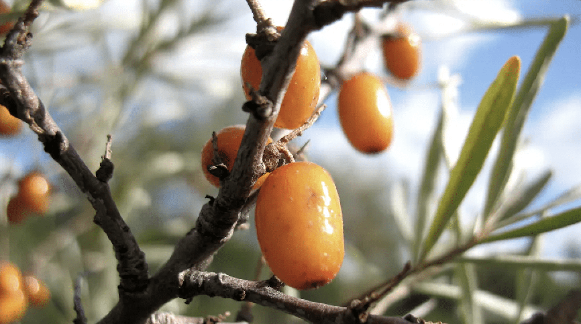 Screenshot 2024-05-13 at 17.50.48