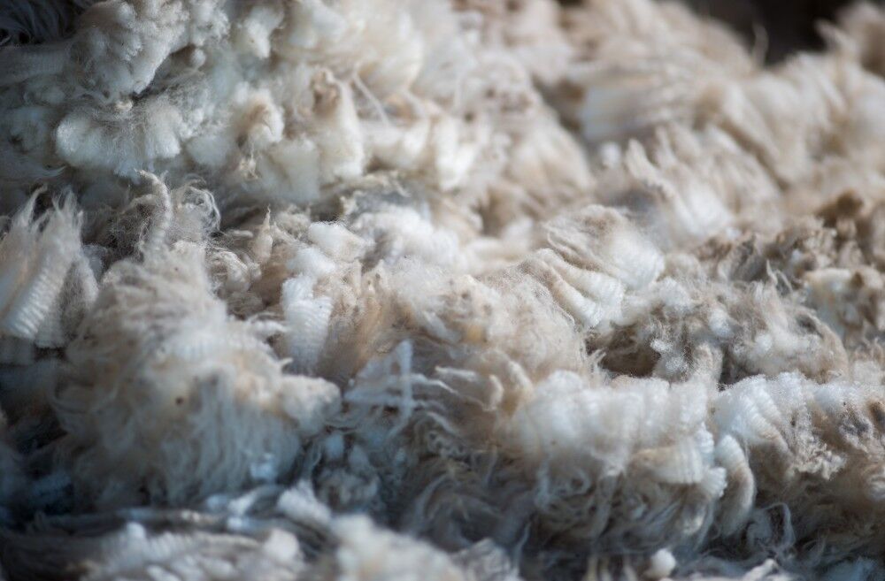 65bc15473d10a5b314e27455_Woolstory1