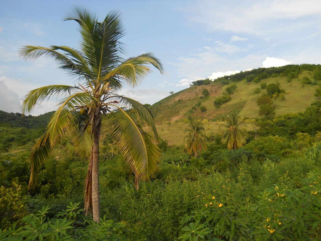 haiti-85873_1280
